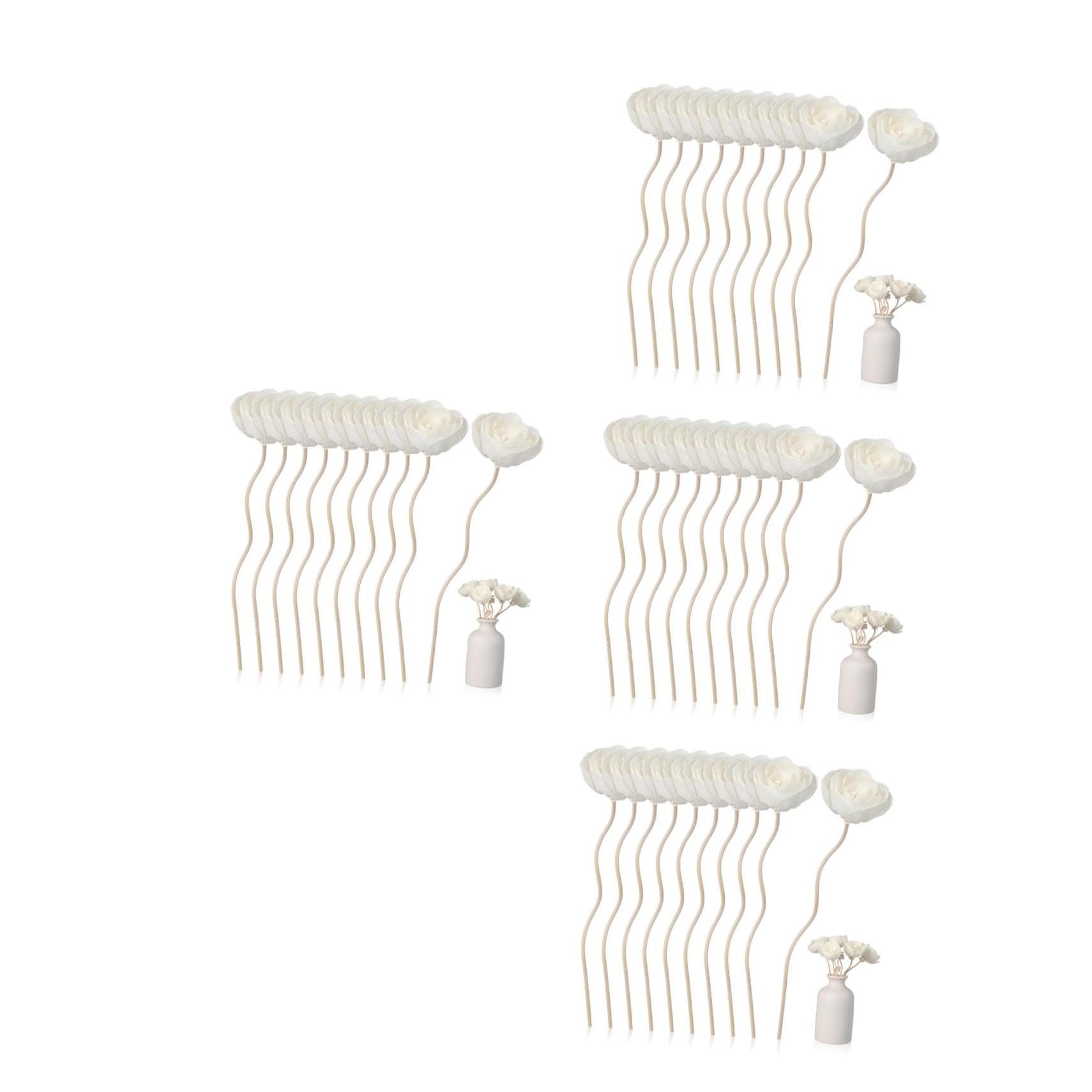BESPORTBLE 40pezzi Diffusori Rattan Per Essenziali Accessori Per Diffusori Aromatici Naturali