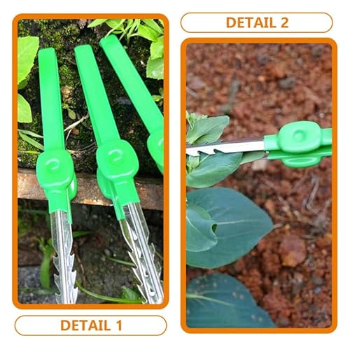 LOORGVEL Tragbare Gartenpinzette für Pflanzenpflege Multifunktionales Werkzeug für Gartenarbeiten Sukkulenten und Gemüseanbau Leicht und für Hobbygärtner und Naturerkundungen
