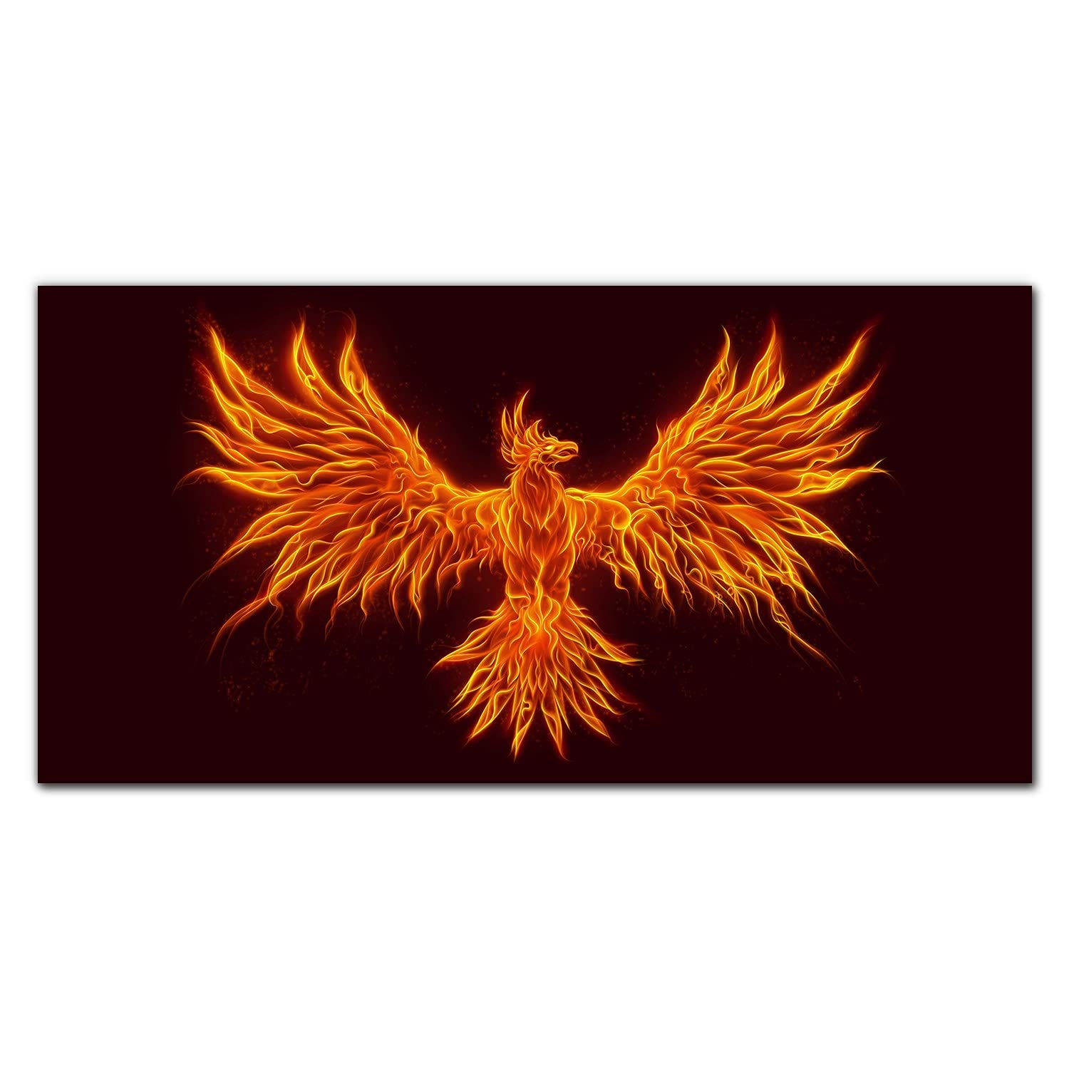 Crédence de cuisine 140x70cm en verre trempé oiseau fantaisie Coloray
