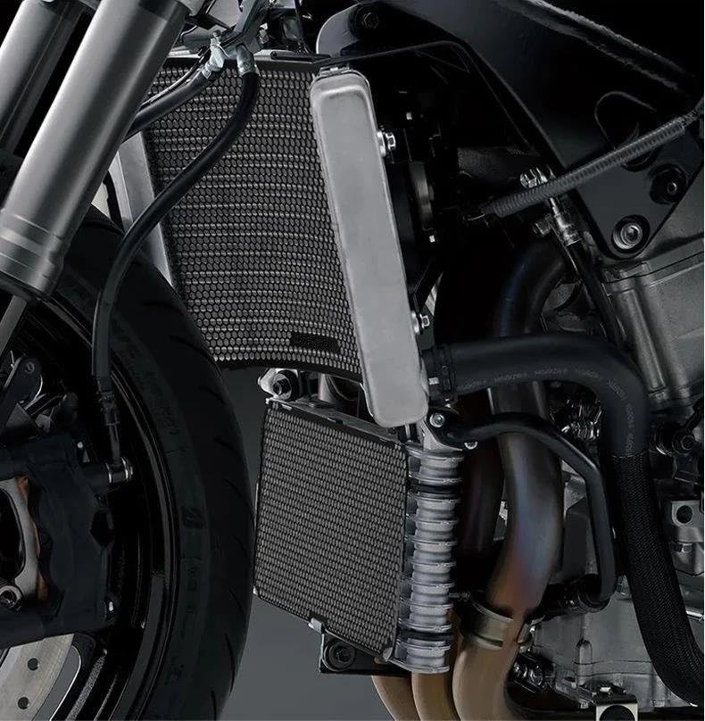 Cache phare de moto et grilles de protection pour longs trajets - 3