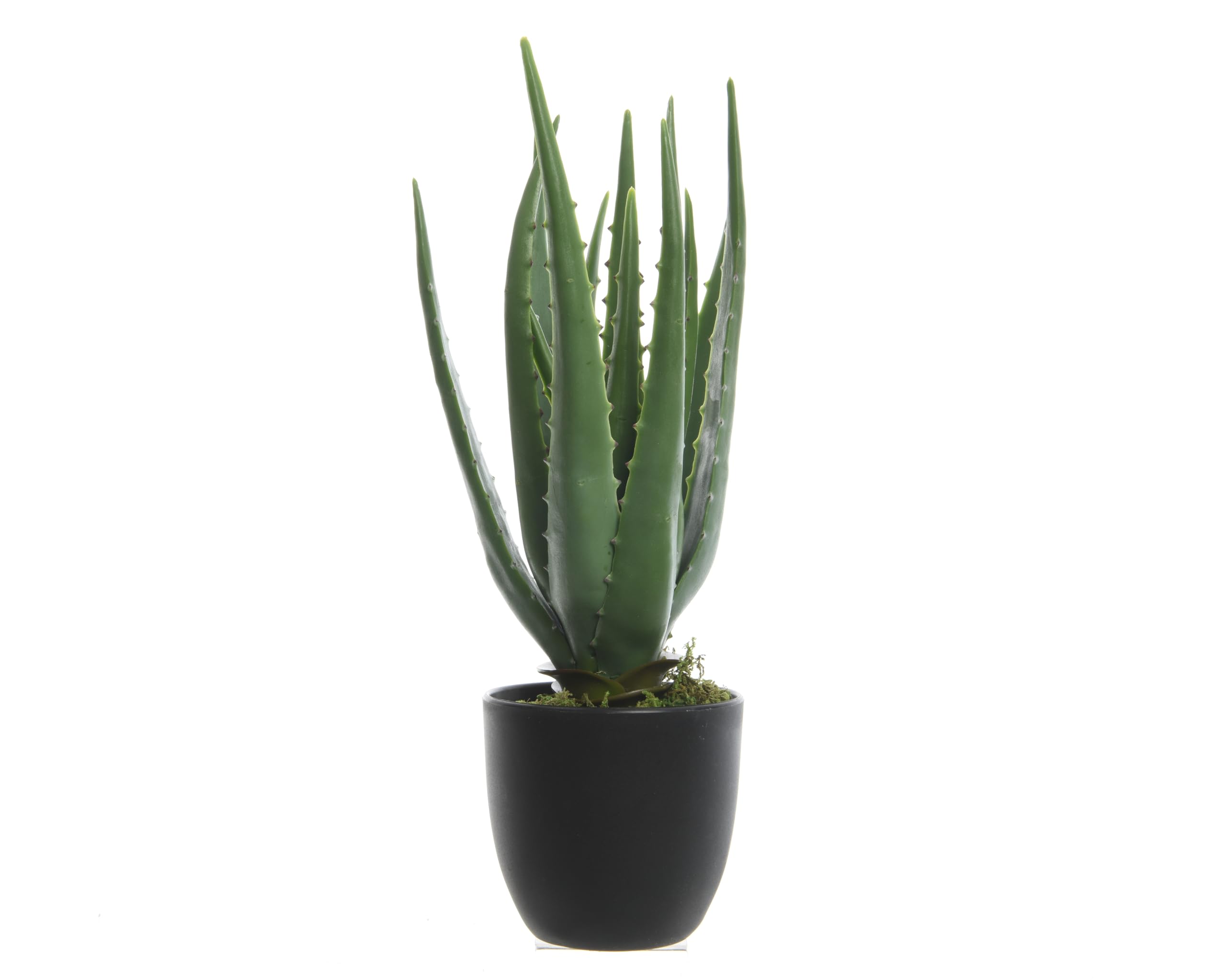 Kunstpflanze Aloe Vera im Topf 35cm Kunststoff Zimmerpflanzen Dekopflanzen  Grnpflanzen knstlich : Amazon.de: Kche, Haushalt & Wohnen
