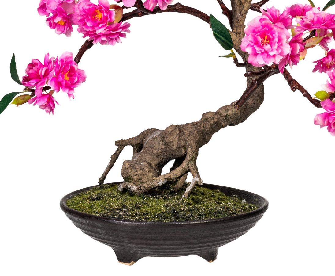 Amazon.de: Blhender Bonsai Kunstbaum 50cm hoch in dekorativer Schale mit  Kunstmoos - Knstlicher Bonsaibaum mit rosa Blten und grnen Blttern