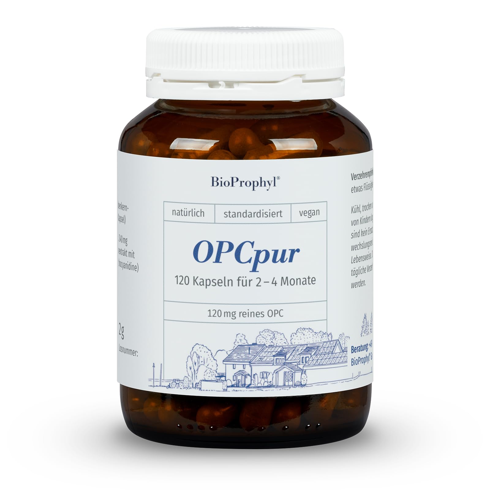 OPCpur | 120 mg reines OPC ohne Vitamin C - 300 mg Traubenkernextrakt aus französischen Traubenkernen - 120 pflanzliche Kapseln für 2-4 Monate
