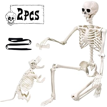 165 cm Halloween Movable Skeleton with Dog Full Body Dogs Life-Size Skeleton Realistic Human Skeletons with Movable Joints for Halloween Outdoor Party Decoration