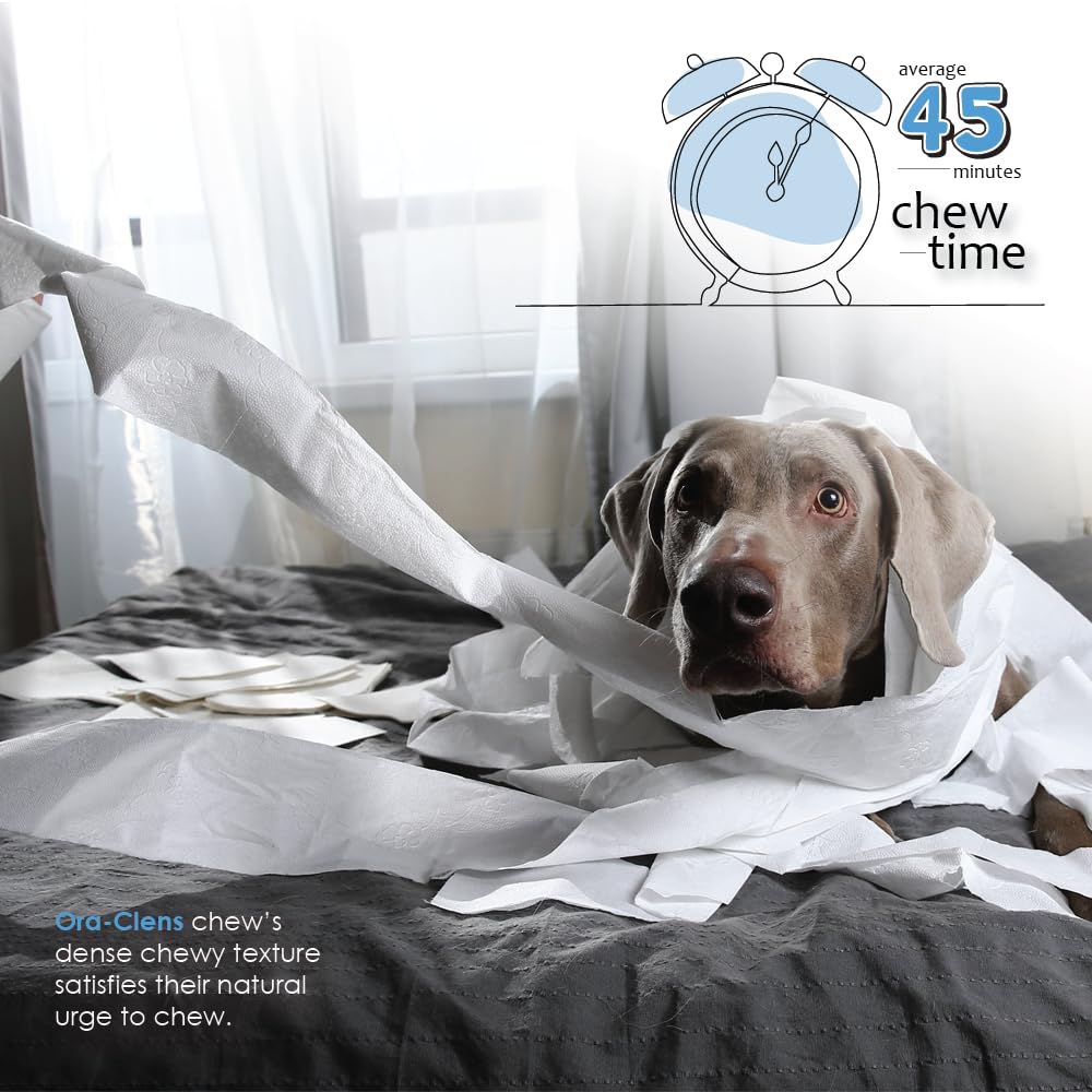 Healthy Pets Ora-Clens zestaw do żucia, do higieny jamy ustnej, rozmiar XL, 15 sztuk