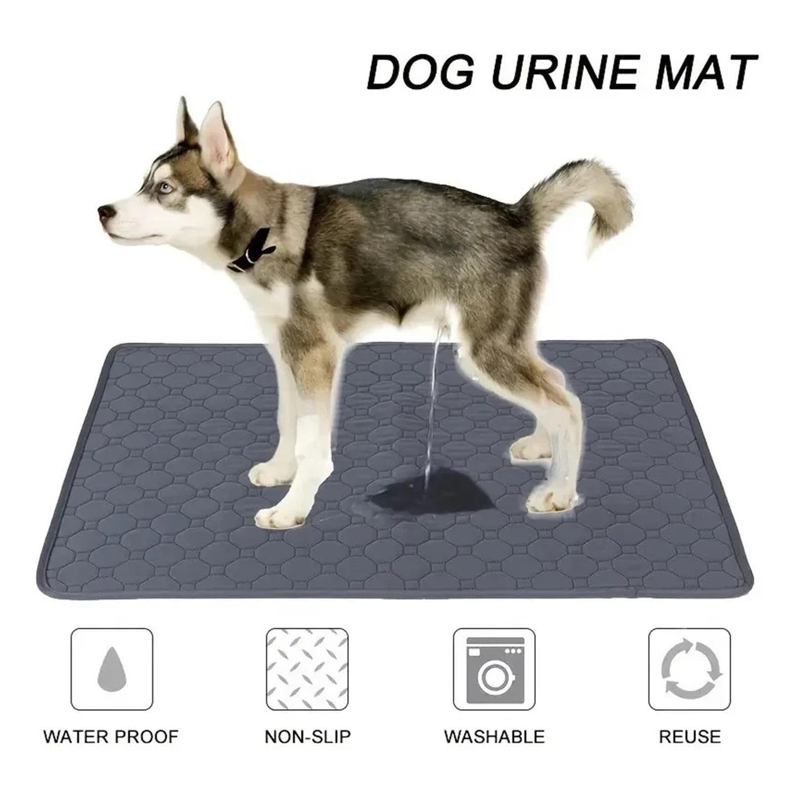 Genérico Empapador Perro Reutilizable Lavable Impermeable Invierno S-XXL