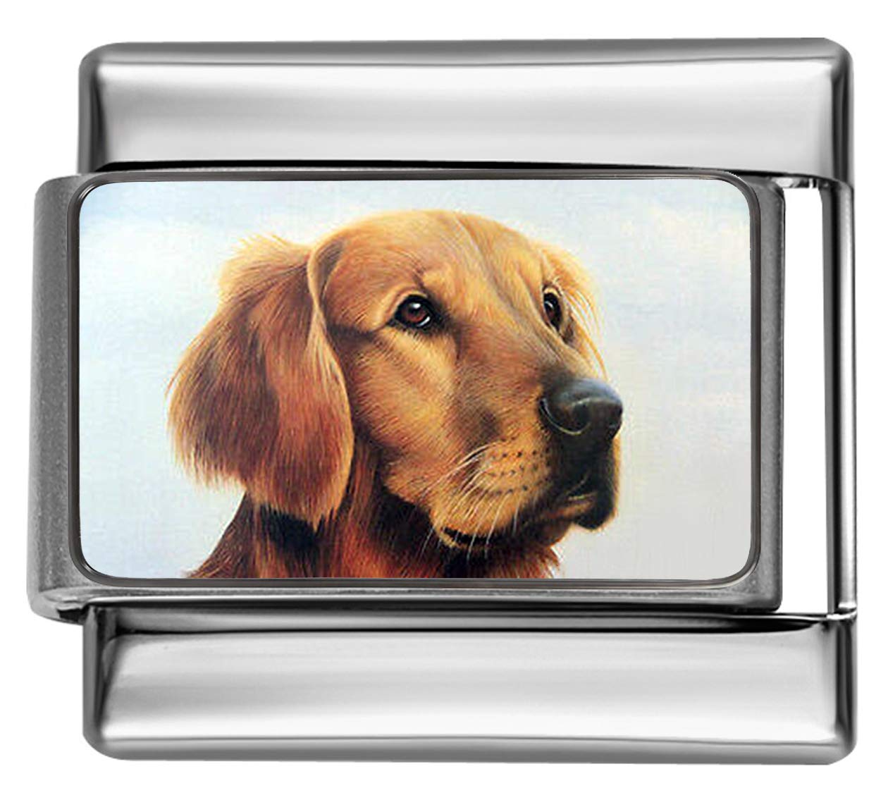 Stylysh Charms Golden Retriever Dog Photo Italian 9mm Link DG218 Fits Tradi