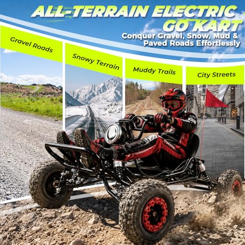 2000W 48V Electric Go Kart for Adults