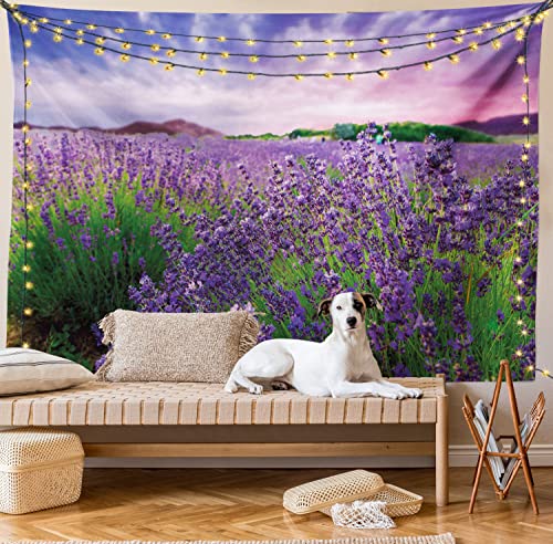 Ambesonne Lavender Tapestry, Serene Field View in Tihany Hungary Dramatic Dreamy Sunset Sky Nature, Wide Wall Hanging for Bedroom Living Room Dorm, 60