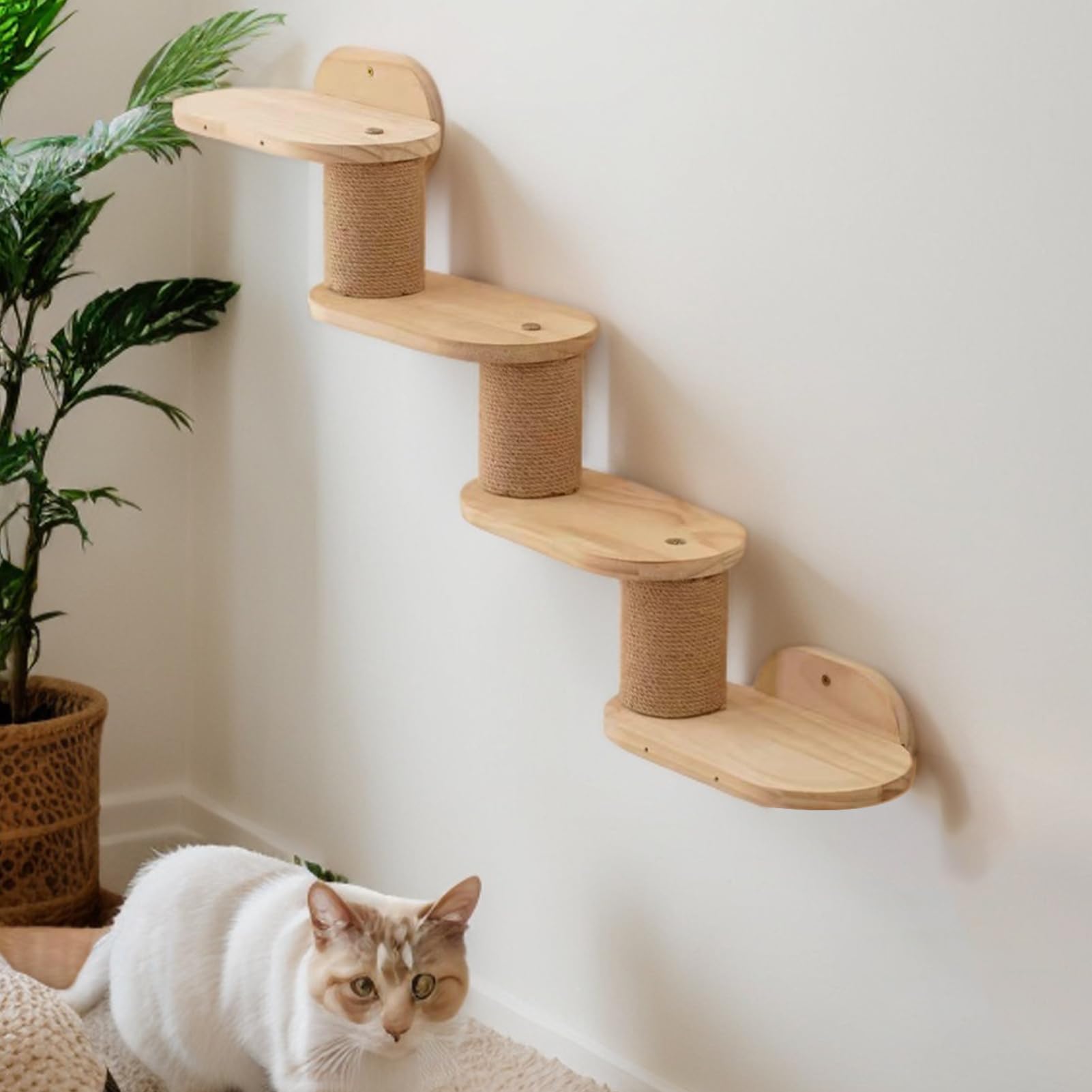 Katzen Wandregale Wandmontierte Katzenmöbel