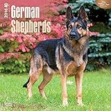 German Shepherds 2016 Square 12x12