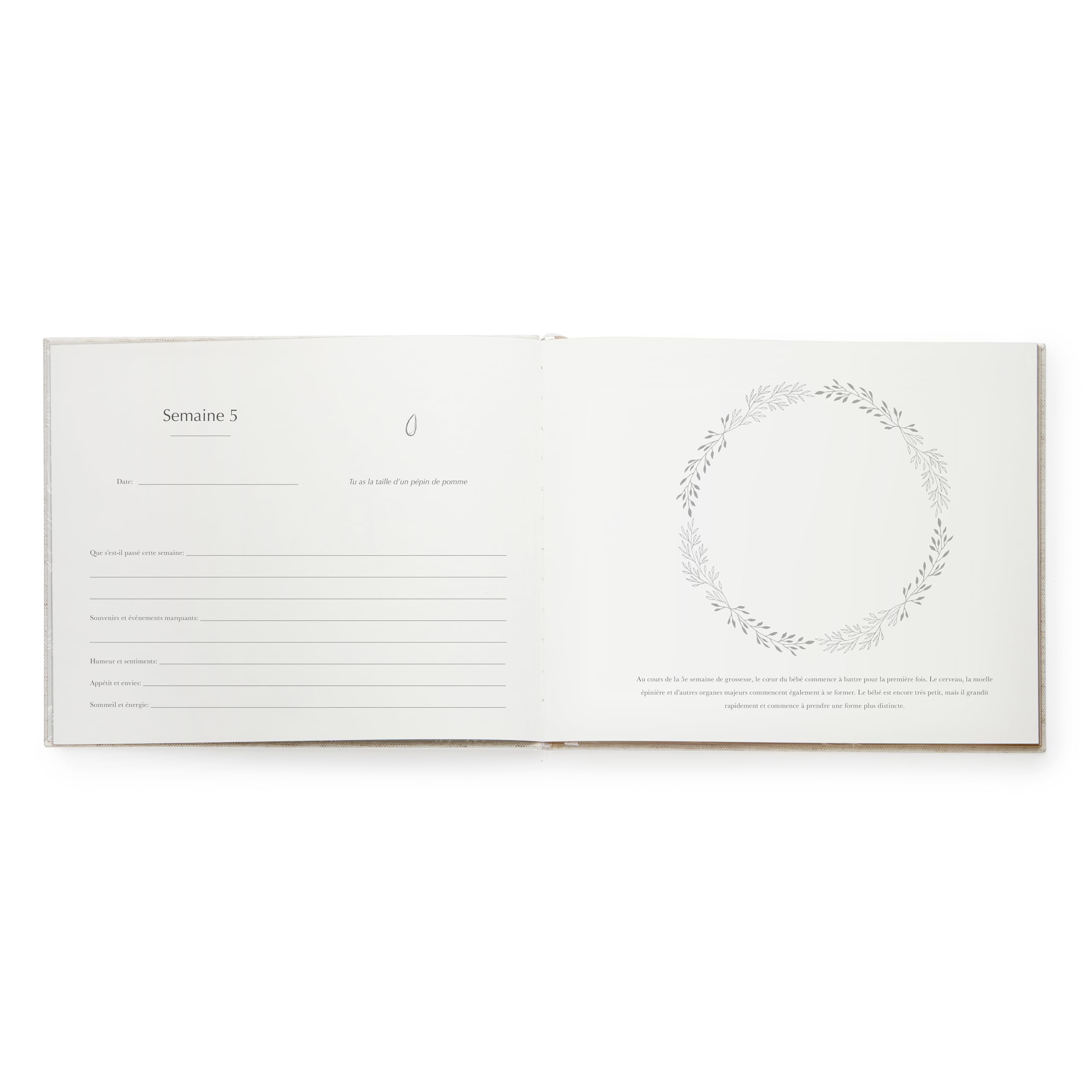 Your Edition Journal de grossesse – Livre de souvenirs de bébé pour les futures mamans – Livre de grossesse de luxe – Planificateur de grossesse – Cadeau de grossesse pour la première fois – Avec