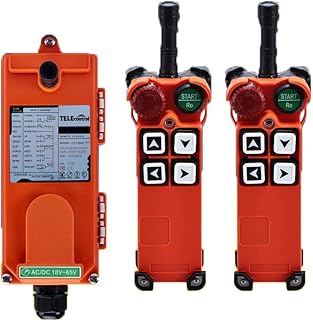 Hoist Crane Wireless Remote Control F21-4S AC/DC18V-65V(2 Transmitter + 1 Receiver)