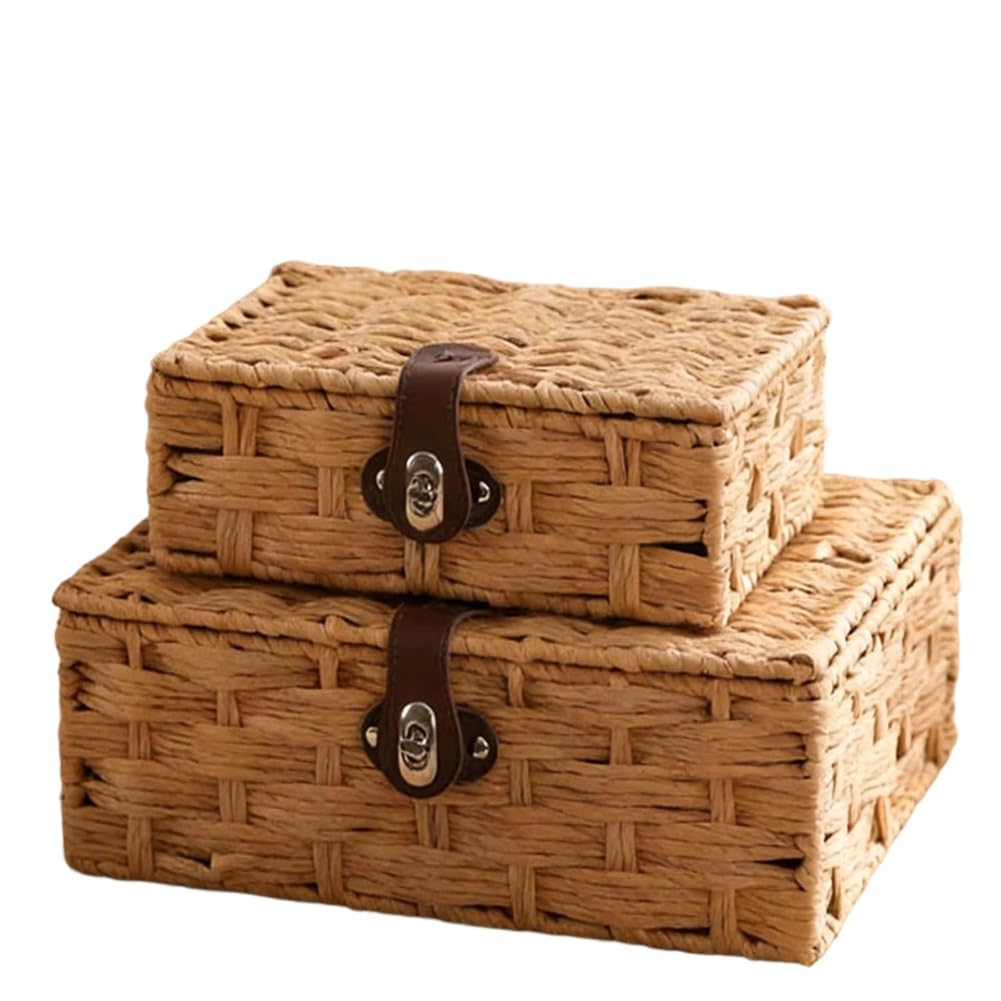 CTRLZS Wicker Storage Basket with Lid, Woven Storage Baskets with Lids, for Shelf Decor, Storage Boxes with Lids