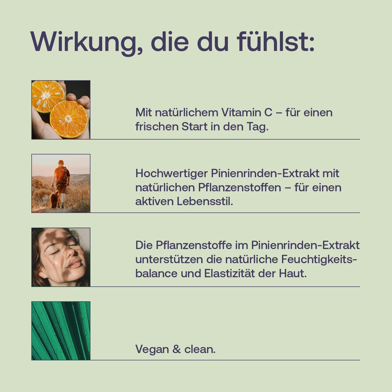 Effective Nature - Pinienrindenextrakt hochdosiert - Original Pycnogenol - mit Vitamin C aus der Acerolakirsche - Vegan - ohne Zusätze