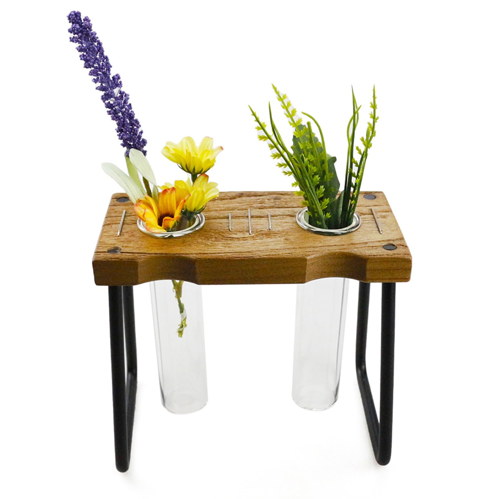 Terrarium pour pothos et boutures de fleurs avec station de propagation en verre