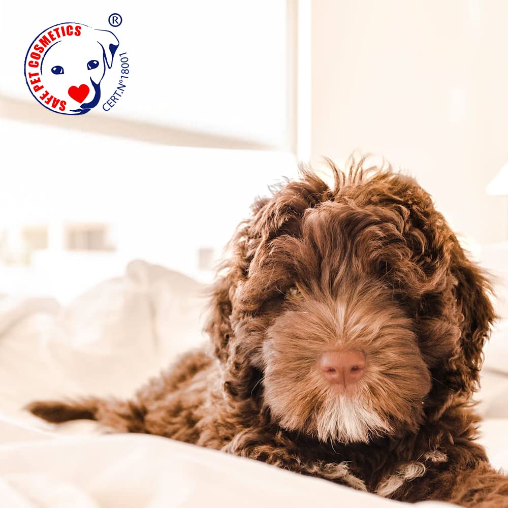 Caviar Mix Nutritive Lotion - Spray für Hunde und Katzen - 100 ml - Hilft bei der Aufrechterhaltung einer richtigen Feuchtigkeit - Hygieneartikel für Hunde - hergestellt mit natürlichen Extrakten