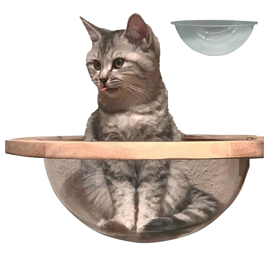 キャットハウス　透明ドーム Amazon.co.jp: スタートサイド キャットドーム ハウス キャット