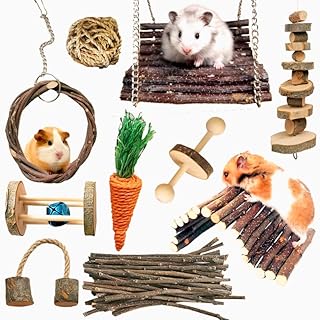 Hamster Kauspielzeug 10 Stück Meerschweinchen spielzeug Natürliche Holzhanteln Übung Glockenrolle Zahnpflege Molar Backenzahnspielzeug Spielzeug für Ratten Chinchillas Spielzeug Zubehör Kleintiere product image