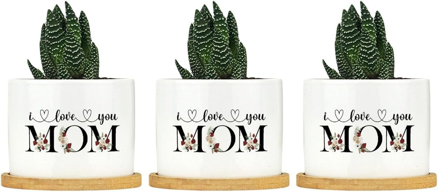 Ceramic Succulent Pot Plant Mother Flowers Wreath Indoor Ceramic Planter Set of 3 Unique Birthday Mothers Day Planters Ceramic for Coworkers with Drainage Tray Kitchen Decor