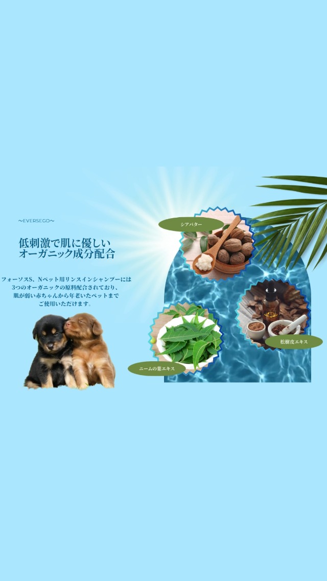 Amazon | カモス バクテレス【FOURSOS フォーソス】 超低刺激 しっとり