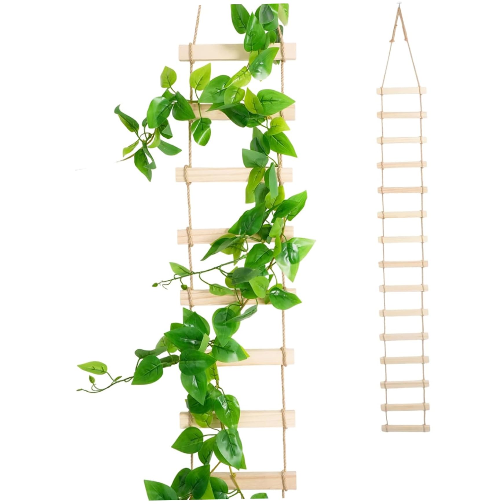 Échelle pour plantes en bois naturel grand treillis de haute finition pour lierre