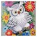diamond DIY Diamond Art Kits Hibou rond Fleual Foret,5d Diamond Peinture Kits d'animaux for la maison de bureau à domicile Décor mural for adultes et enfants Débutant en strass broderie broderie croix