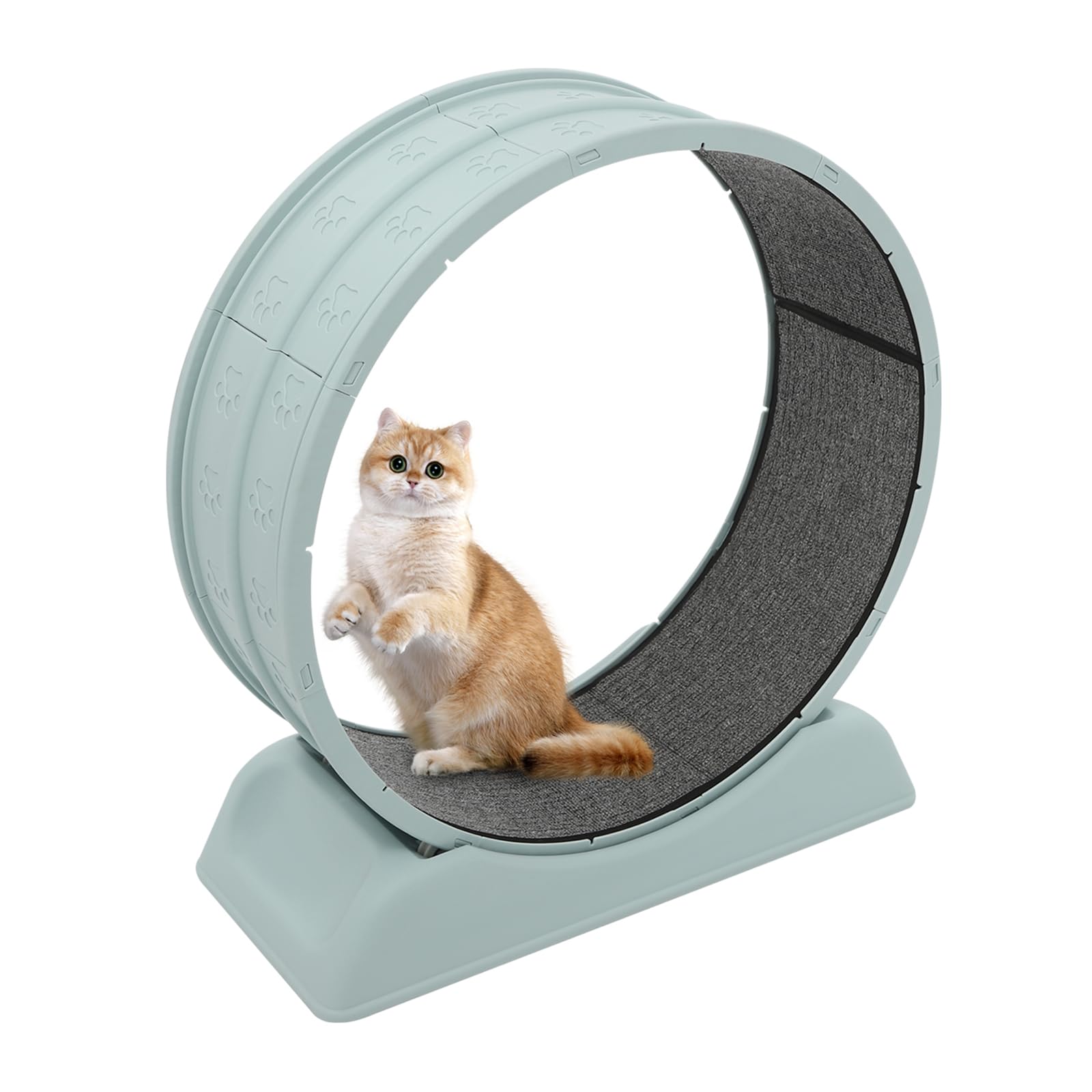 Katzenlaufrad 80 cm aus Harz und PP, mit weichem Teppich und Spielangel – robustes Fitnessrad für Wohnungskatzen bis 10 kg, leise und stabil, ideal für Bewegung und Spiel im Innenbereich (Blau)