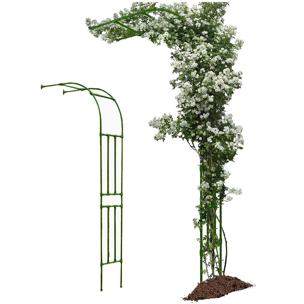 Support de pergola mural et demi-arche de jardin verte 260 x 240 cm