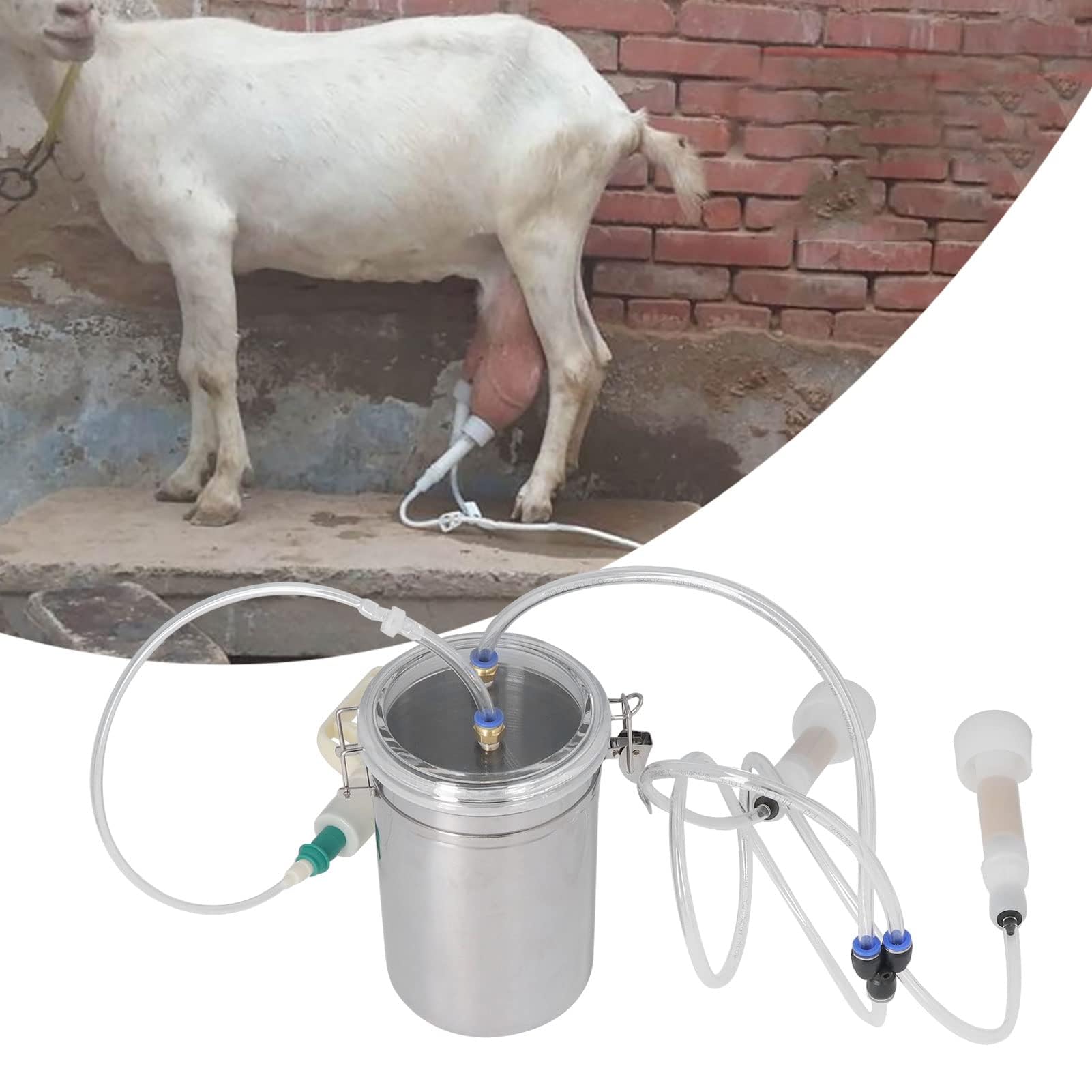 Cocoarm Machine à Traire Manuelle, Machine à Traire sans Effort de 2000 Ml, Machine à Traire de Vache à économie D'effort, Ensemble de Traite Portable pour Ferme de Plantes Laitières