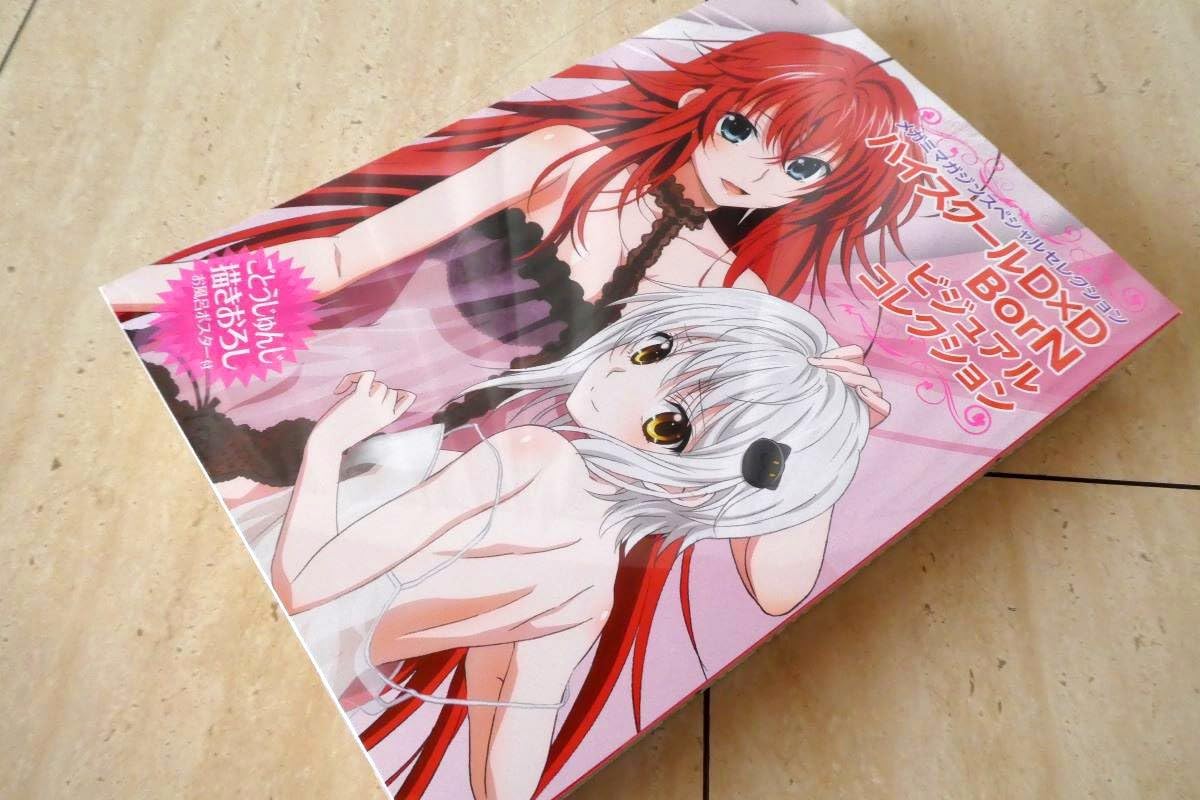 ハイスクールD×D BorN ビジュアルコレクション ポスター付き