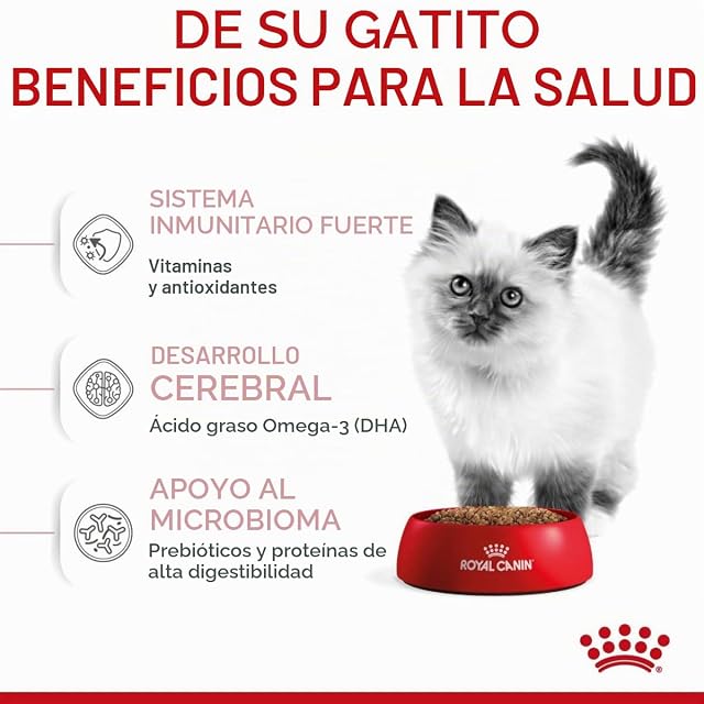 Foto 5 de 7 de Royal Canin C-58434 Gato - 4 Kg
