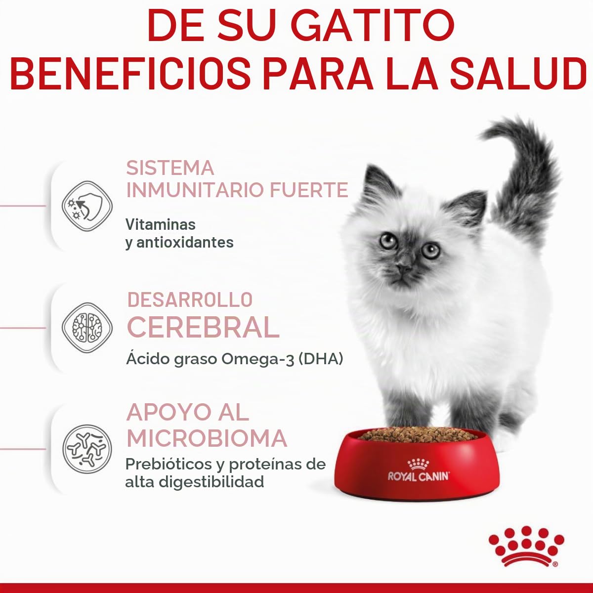 Royal Canin C-58436 Gato - 10 Kg