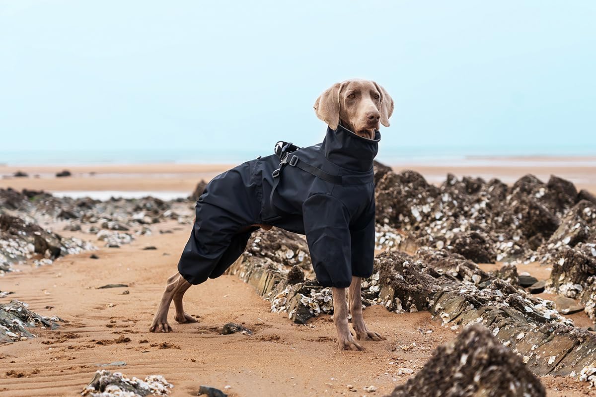 BT Bear Dog Harness Raincoat,Adjustable 4 Legs Dog Jacket with Harness Reflective Jumpsuit Waterproof Coat for Medium Large Dogs,Black 4XL - Image 2