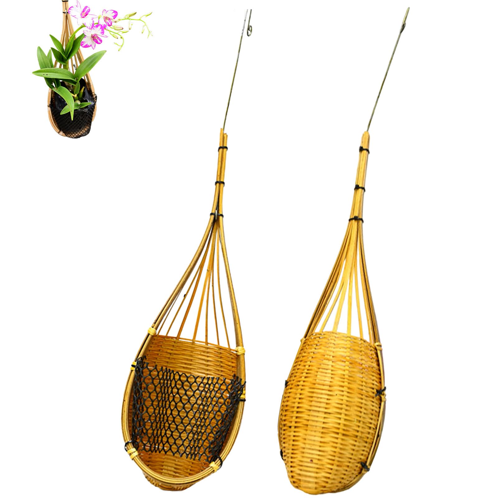 Orchidées aux racines pourries ? Sauvez-les avec le panier de suspension multiples toven