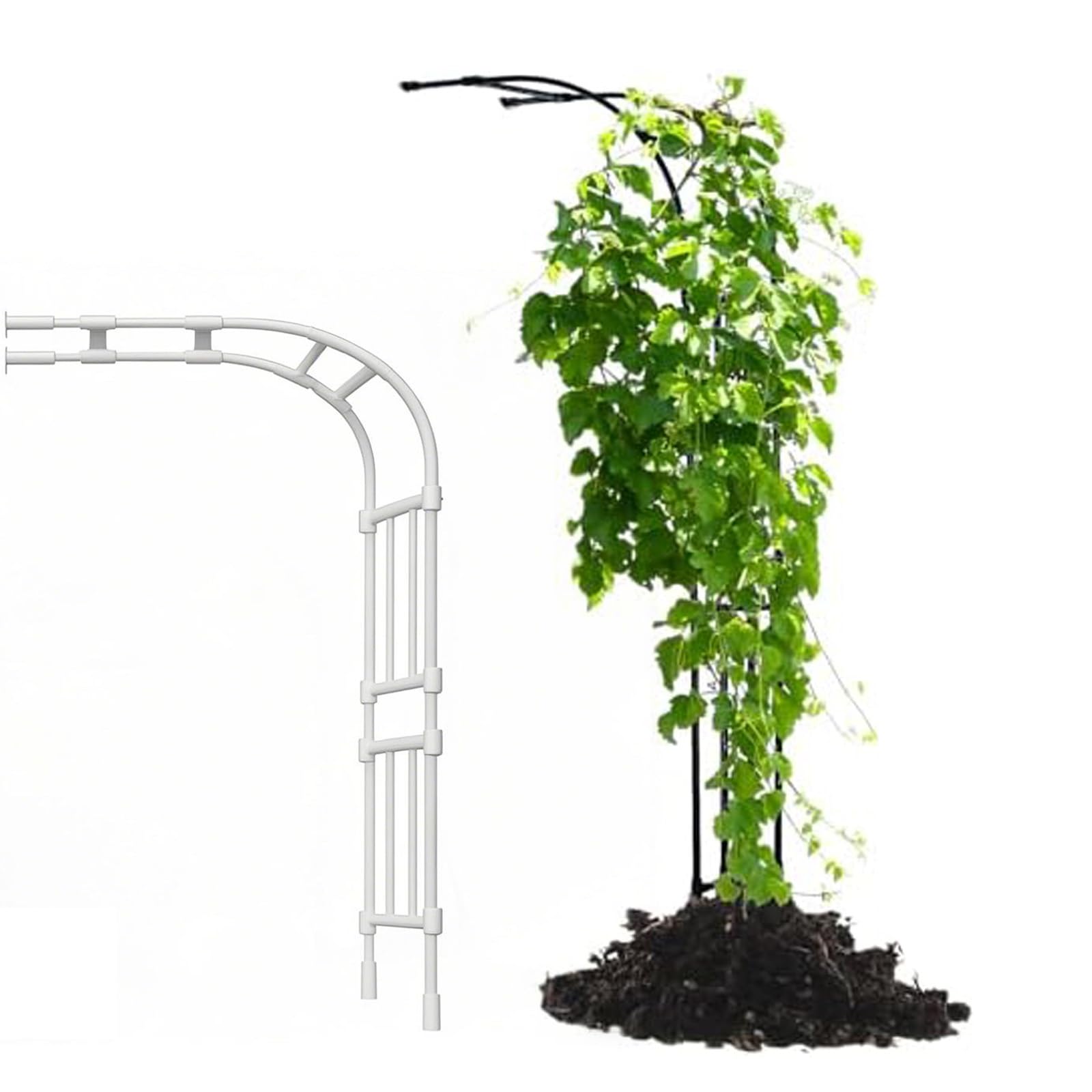 Demi Arch kratka do roślin pnących, do ogrodu, łukowa drewniana pergola, montowana na ścianie, wspornik do winorośli, na zewnątrz, dekoracja patio, 240 x 267 cm, biała, 300 x 267 x 60 cm