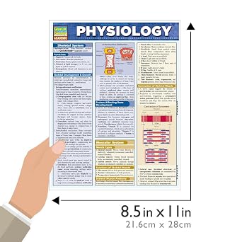 Physiology: QuickStudy Laminated Reference Guide (QuickStudy Academic)