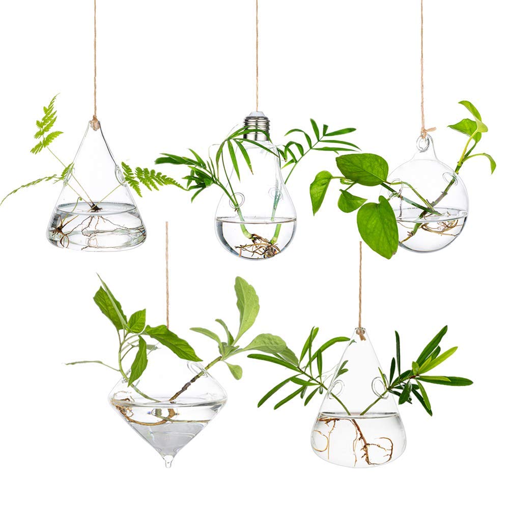 Glasseam Hanging Planters Glass Terrarium: 5Pcs Modern Plant Propagation Stations Hydroponic Wall Vases for Air Plants Flowers Indoor Window Home Decor