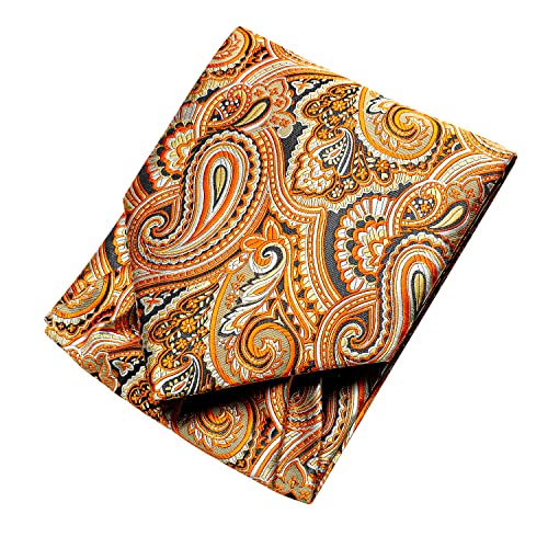 Image of Dubulle Paisley Floral Ascot for Men Self Tie Mens Cravat and Pocket Square Cufflinks Wedding