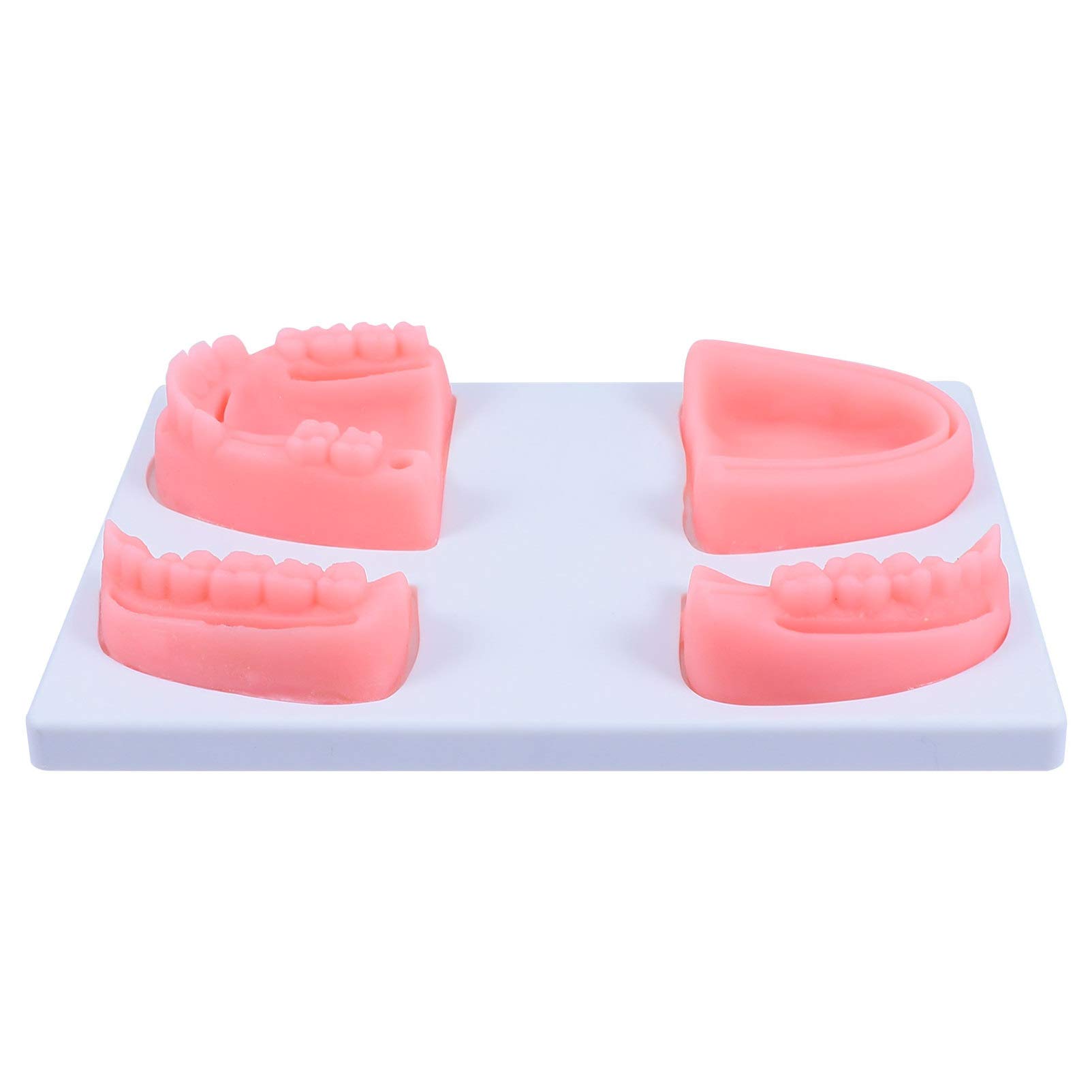 POPETPOP Oral Suture Training Models Silicone Dental Suture Pad for Hospital Vets Students Practicing Suturing Teaching and Implants on Soft Gum Teeth Pink