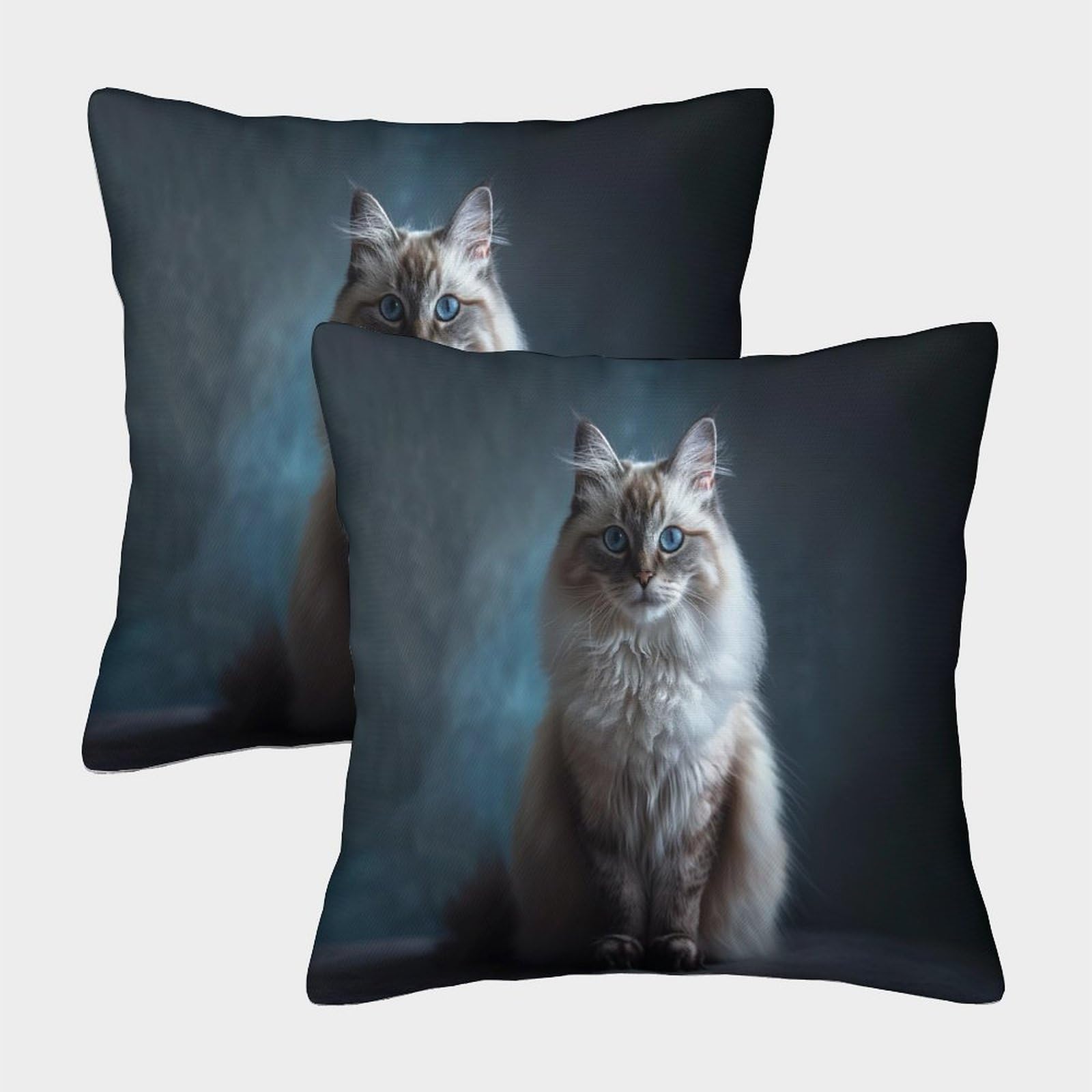 PFYWZJDDTTBD Square Decorative Ragdoll Throw Pillow Cases Cushion Covers Set of 2 for Home Office Sofa Bedroom Car Decor Invisible Zipper 45x45cm