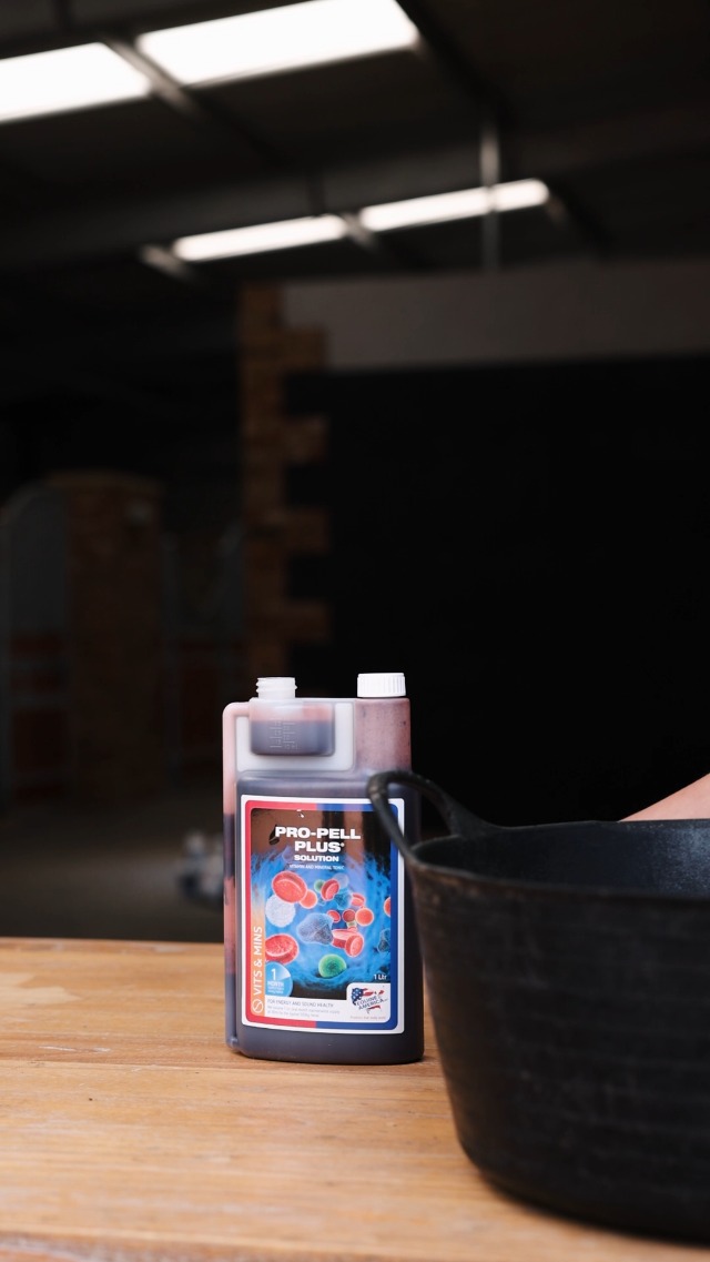 Equine America Pro-Pell Plus SENZA Echinacea --- Ricco di
