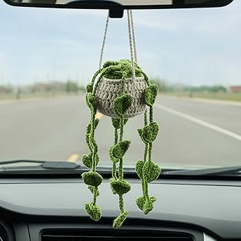 Amazon.com: HFZRZFH Crochet Plant for Car Mirror - Handmade