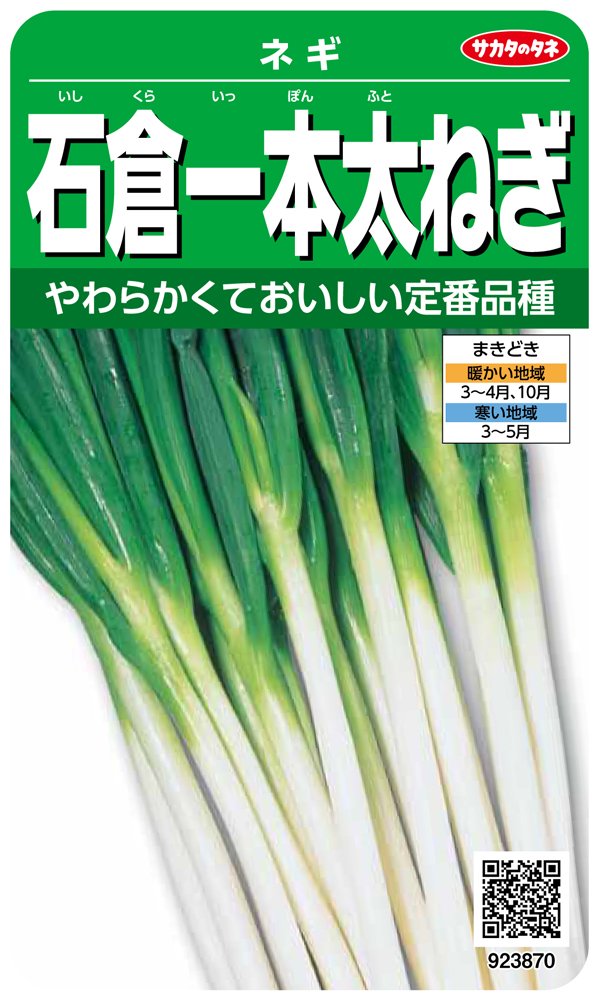 ねぎ タイガーカワシマ｜ネギ根切り皮むきセット 切って むくべぇ BM