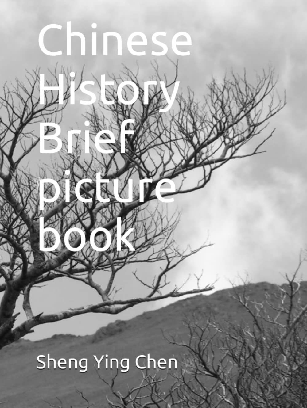 Chinese History Brief picture book