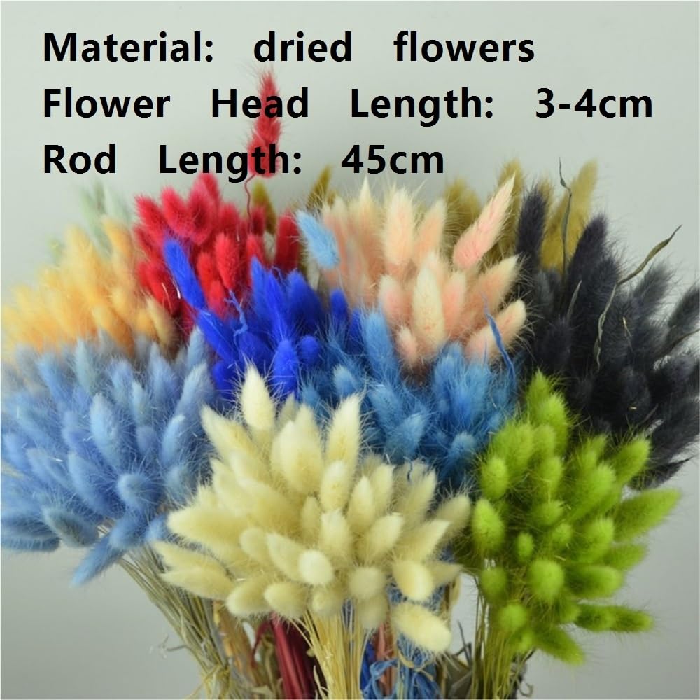 Artigianato con fiori pressati 50 pezzi Premium Bunny Tail Decor Plants, fiori secchi Coniglio c0da piante, immortale bouquet for festa