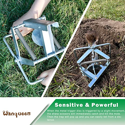 2 Pack Mole Trap Easy To Set, Mole Traps That Kill Best, Reusable Gopher Vole Trap For Lawns(Large) #TOP5