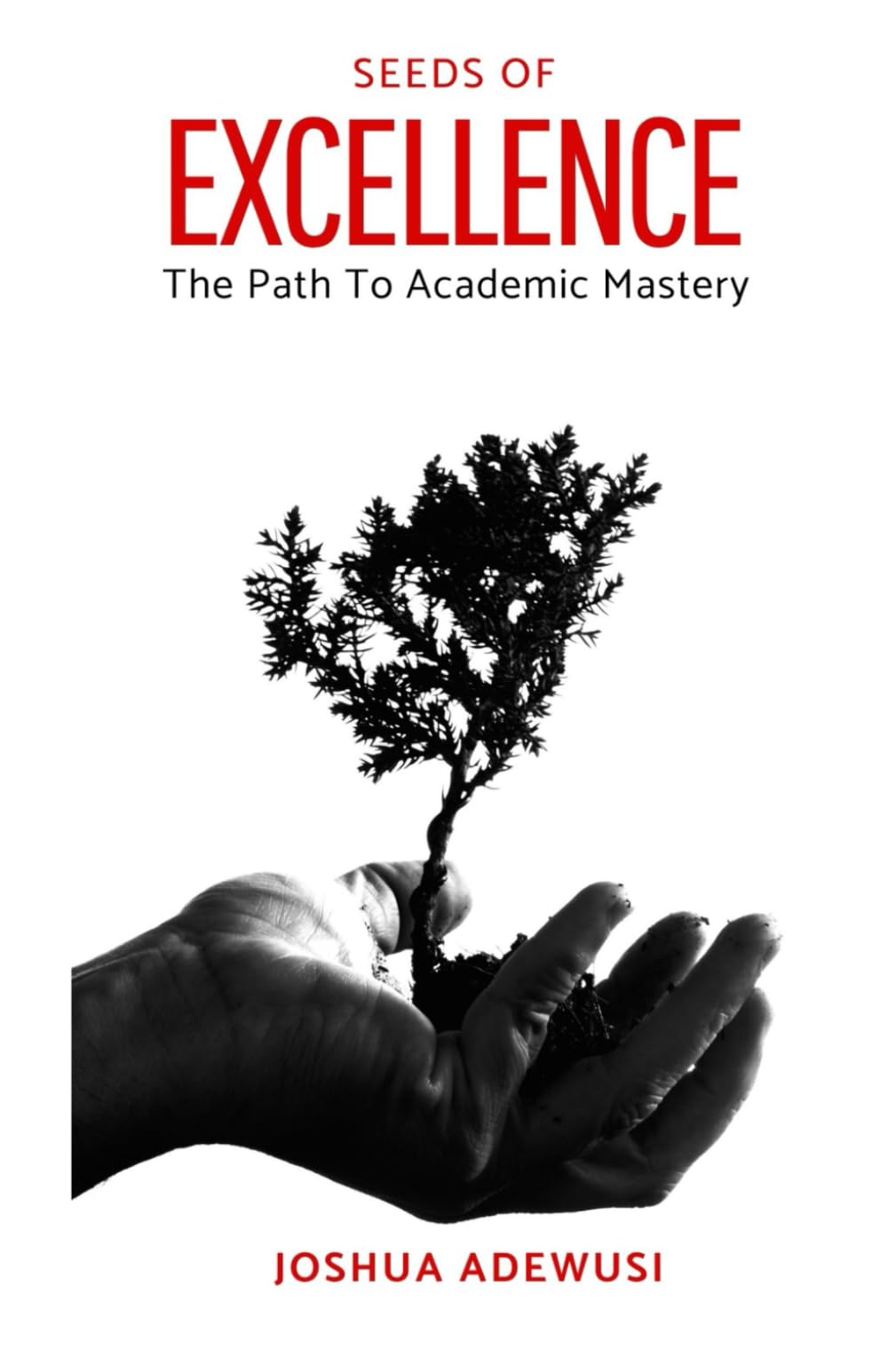 SEEDS OF EXCELLENCE:: The Path To Academic Mastery