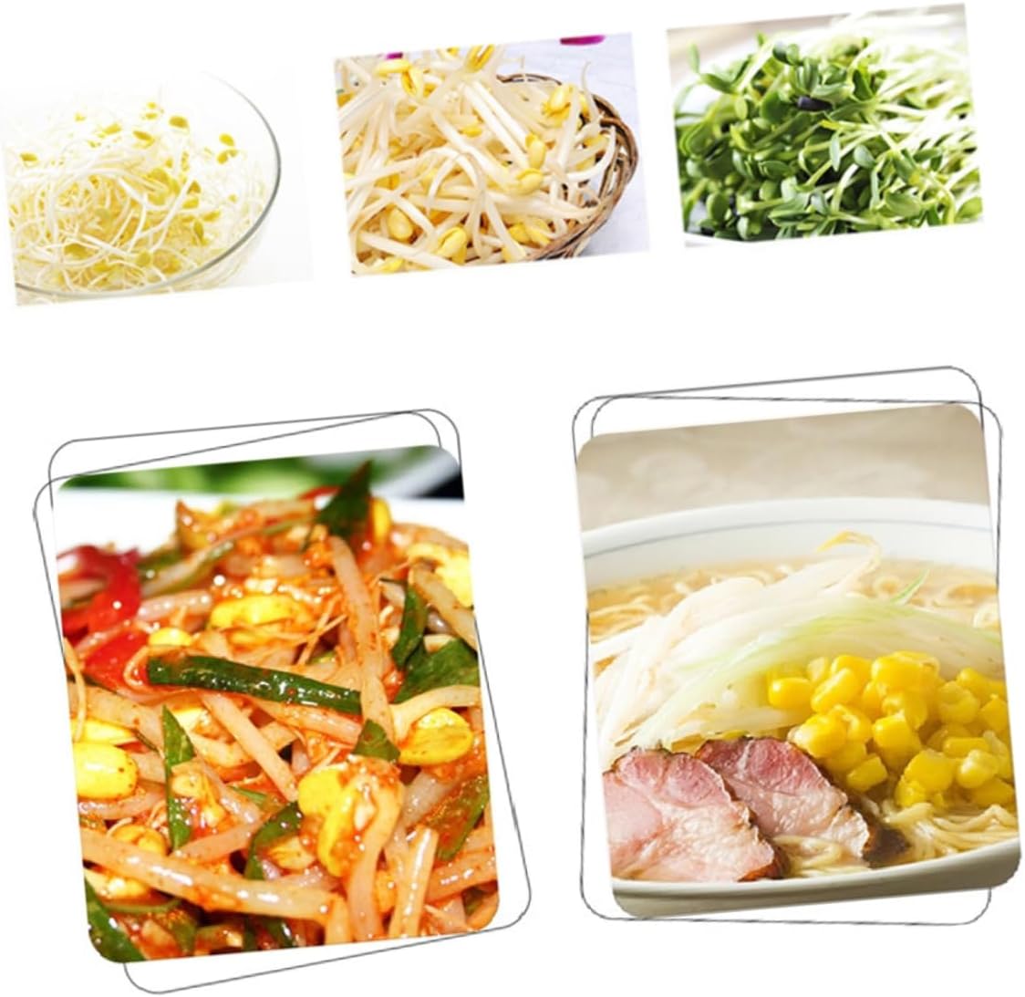 Mipcase 110v Double Electric Maker Microcomputer Control for Home Use Automatic Bean Machine Energy-Saving PTC Heating and Drainage Design