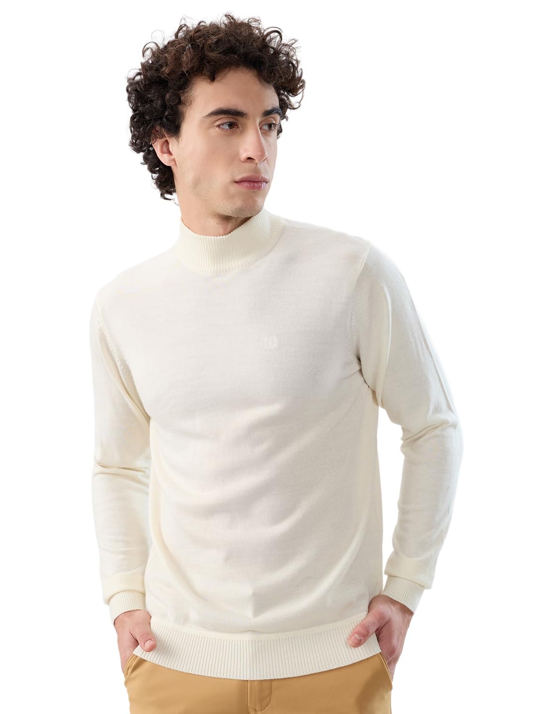 raymond Men Contemporary Fit Solid Pattern Marino Wool Acryalic Blend Full Sleeve Turtle Neck Casual Winter Wear-picture-16